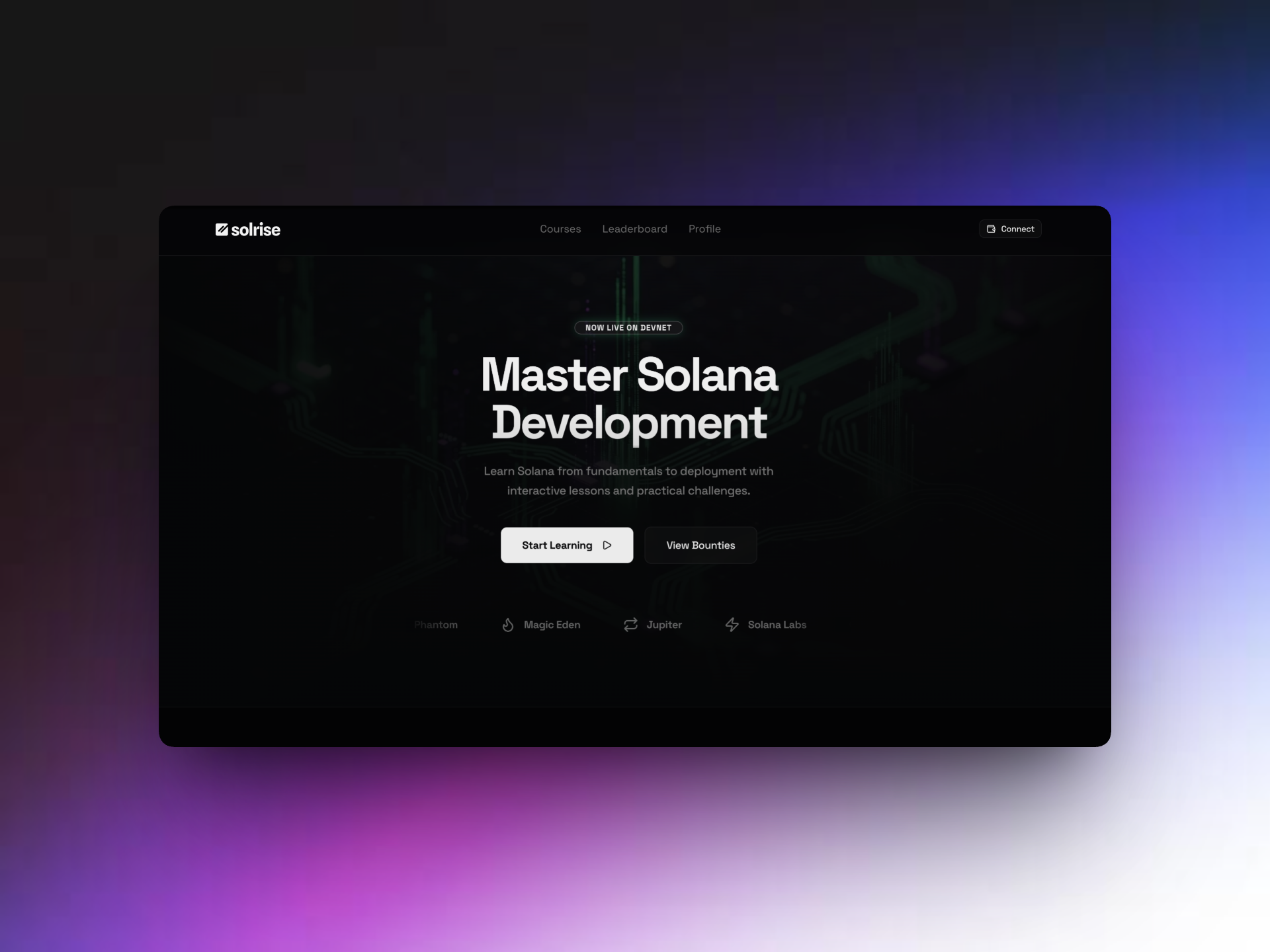 Solana LMS - image 4